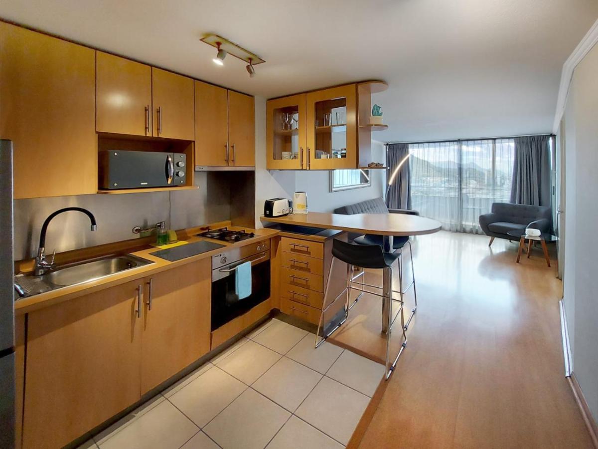 Providencia Plaza Apartment Santiago Luaran gambar